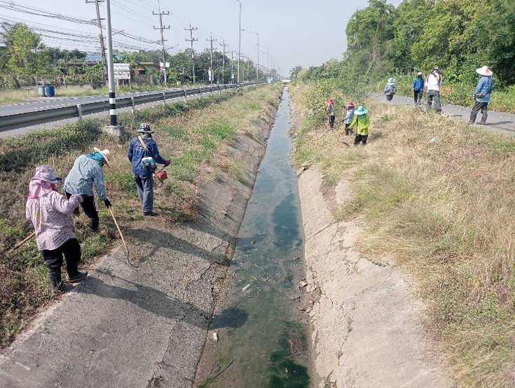 สชป.10 กำจัดวัชพืช บริเวณคันคลองส่งน้ำ 3 ขวา คลองเพรียว