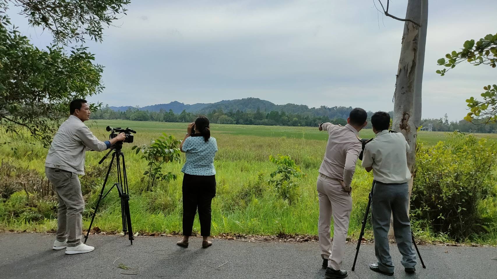 สตูล เขตห้ามล่าสัตว์ป่าฯ ชวนส่องนกอพยพและนกประจำถิ่น  หลากชนิดกว่า  5,000 ตัว  หนีหนาวอวดโฉมรับปีใหม่