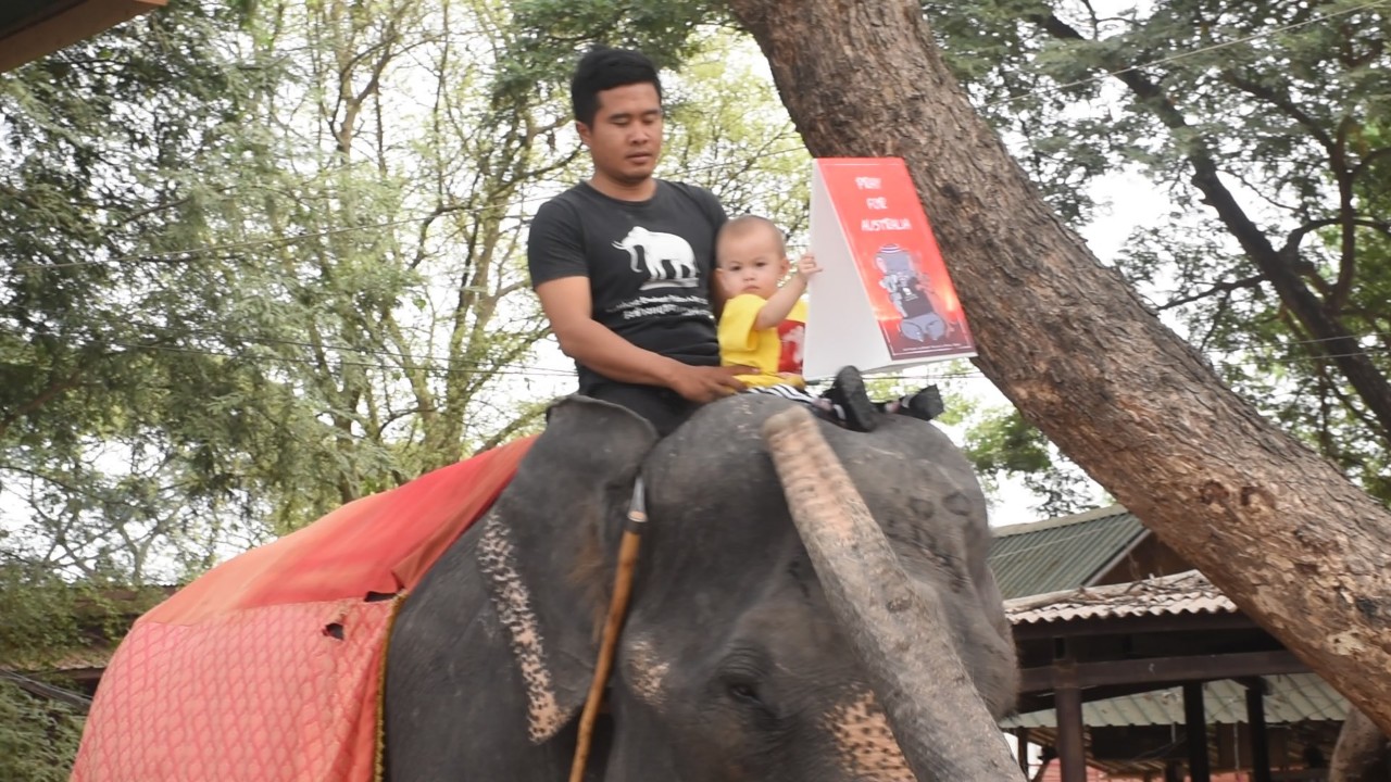 วังช้างแลเพนียดพร้อมนักเรียน รร.จิระศาสตร์ร่วม ส่งใจไปให้สัตว์ออสเตรเลียเหยื่อมรสุมไฟป่า	