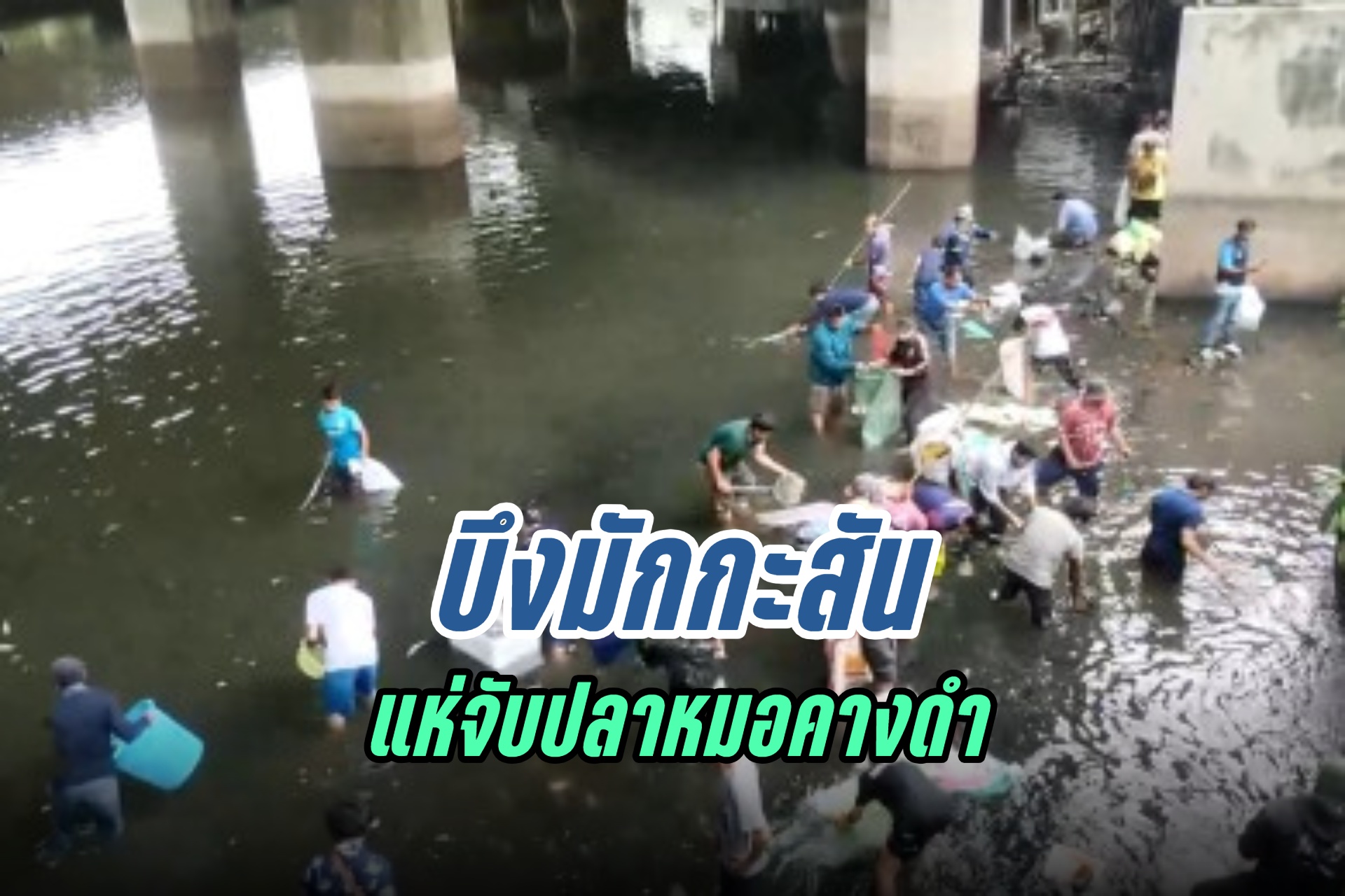 ประชาชนจำนวนมากแห่จับปลาในบึงมักกะสัน หลังลอยขึ้นมาบนผิวน้ำ