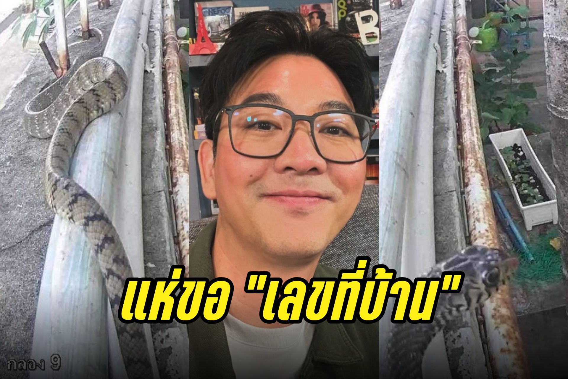 แห่ขอเลข! "เกลือ กิตติ" เปิดภาพงูยักษ์เลื้อยข้างบ้าน