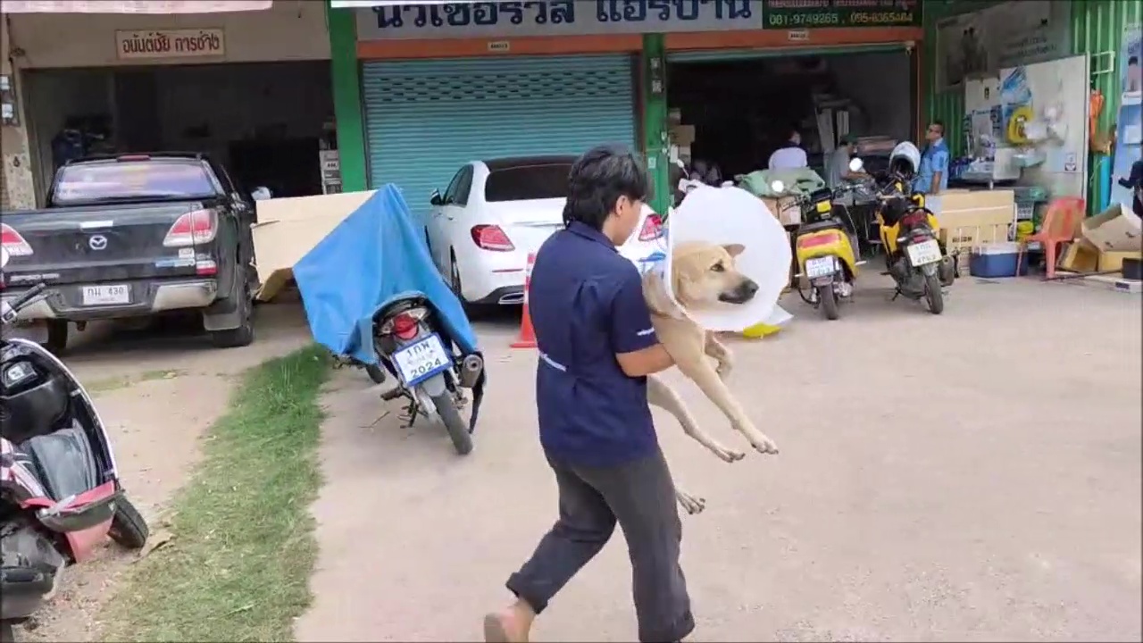 ระทึก!ไฟไหม้โรงพยาบาลรักษาสัตว์เมืองอุดรอุ้มหมาแมวหนีตายจ้าละหวั่น