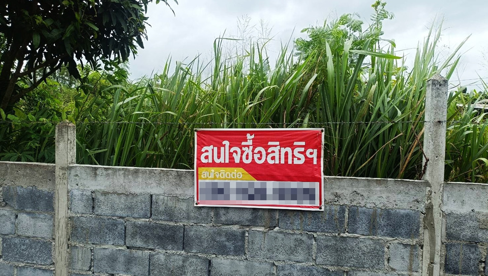 ชาวชากหมากสุดทน! ซื้อที่ดินไร้ไฟ-น้ำ ต้องต่อพ่วงเพื่อนบ้าน เทศบาลแจงติดปมเอกสารสิทธิ์