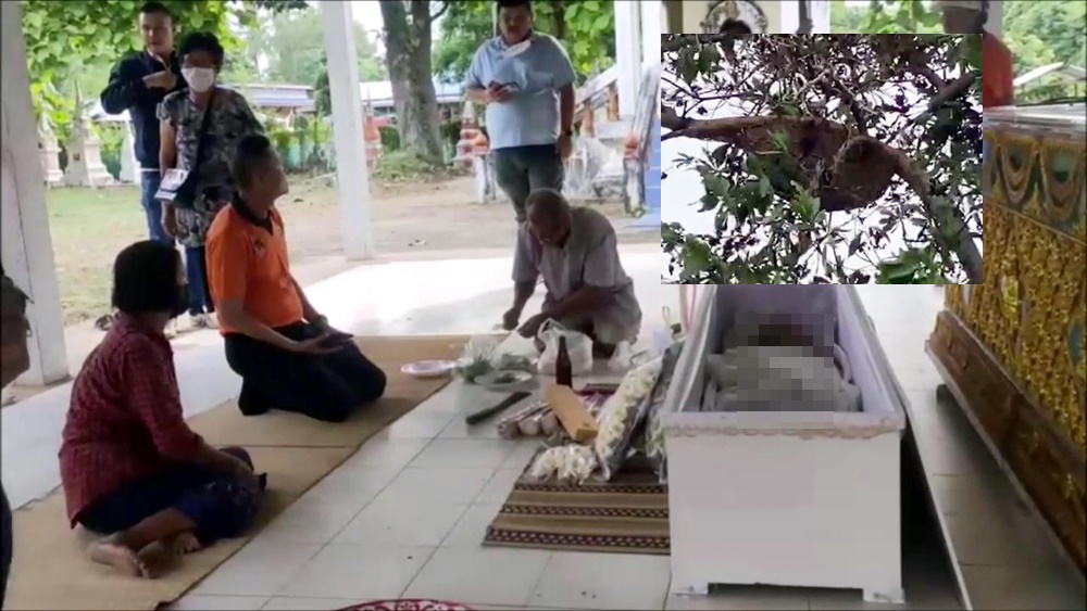 สลด!! ผึ้งหลวงแตกรังต่อยชาวบ้านตาย 1 เจ็บ 2 หญิงสาวเล่านาทีชีวิตรอดมาได้