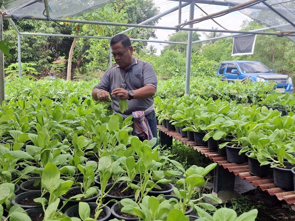 อดีตกำนันแหนบทองคำ พลิกที่ดินทำเกษตรผสมผสาน สร้างศูนย์เรียนรู้เศรษฐกิจพอเพียง