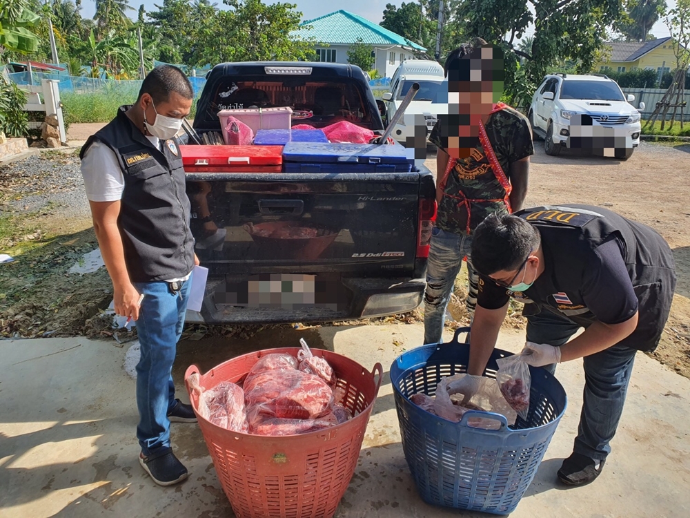พบอีกเนื้อโคปลอม!! ปศุสัตว์ส่งชุดพญาไทขยายผลต่อเนื่อง