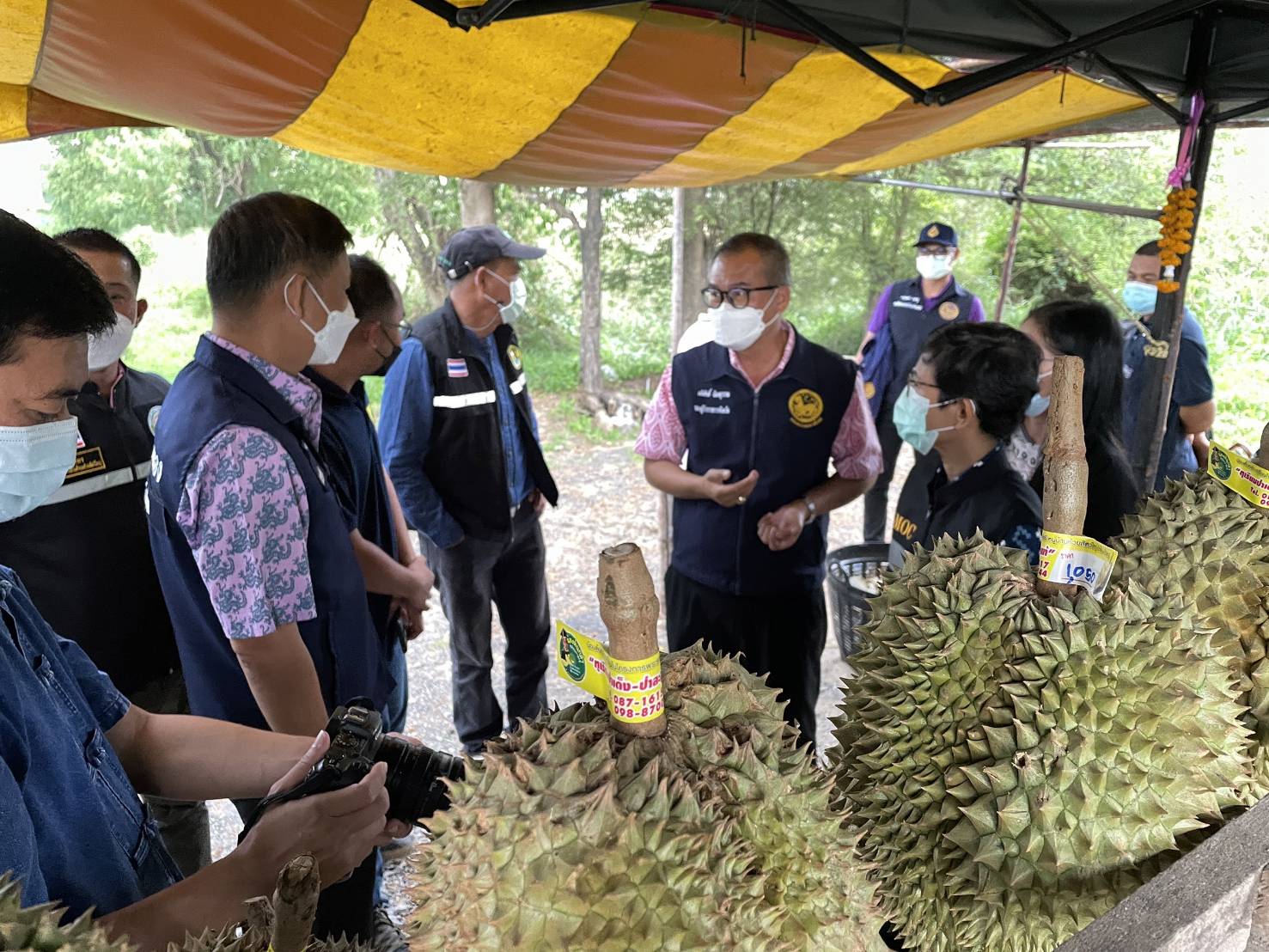 เอาจริง! ประจวบฯลุยตรวจแผงขายแอบสวมรอย 'ทุเรียนป่าละอู' 