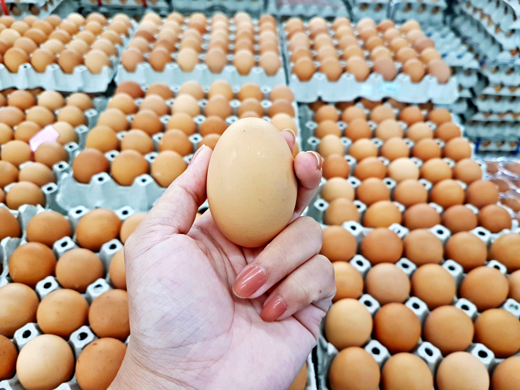 "วันไข่โลก" รักใครให้กินไข่ มุ่งเป้าคนไทยบริโภคไข่ไก่ 300 ฟอง/คน/ปี