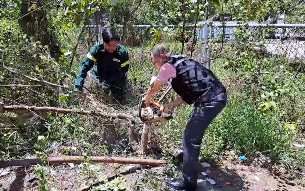 เขตราชเทวี รื้อรังรักป่ากระถิน ใกล้แอร์พอร์ตลิงค์มักกะสัน ลดจุดเสี่ยงก่อเหตุอาชญากรรม