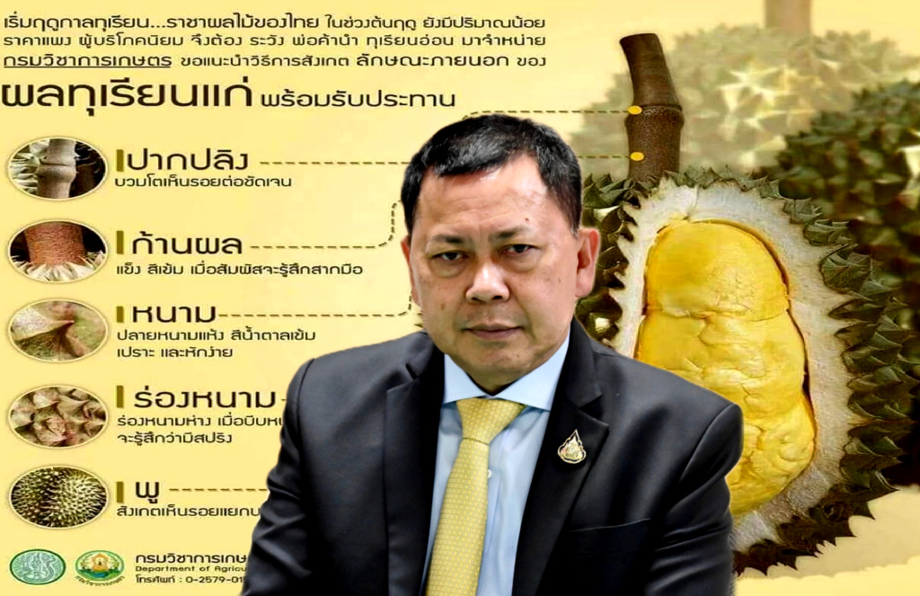 ปลัดเกษตรฯ สั่งทูตเกษตร 8 ประเทศ เร่งสร้างความเชื่อมั่นคุณภาพทุเรียนไทย ได้มาตรฐาน