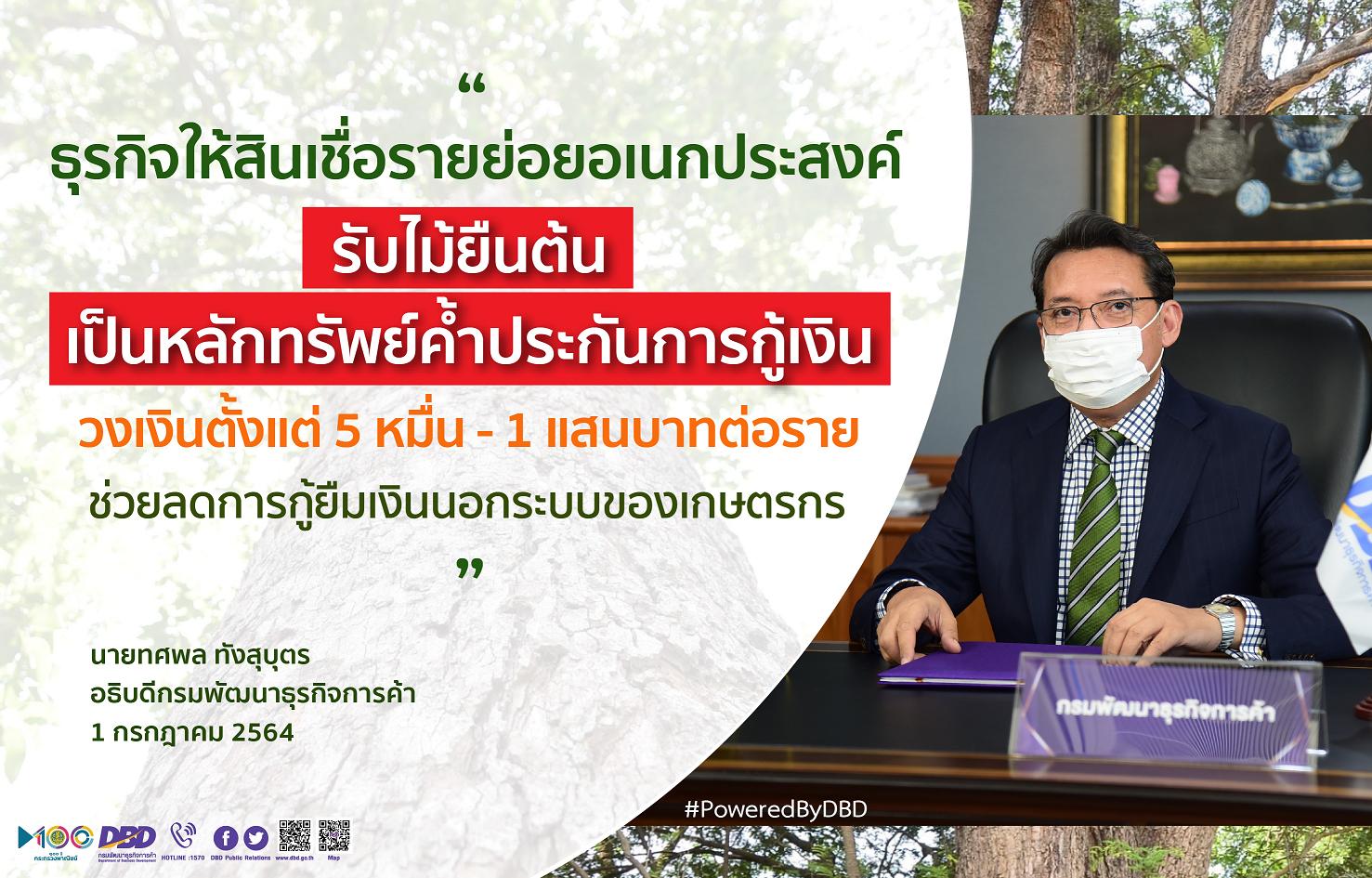 ไม่ต้องกู้ยืมเงินนอกระบบ พณ.แนะเกษตรกรใช้ไม้ยืนต้นค้ำประกันเงินกู้ได้ วงเงิน 5 หมื่น-1 แสนบาท