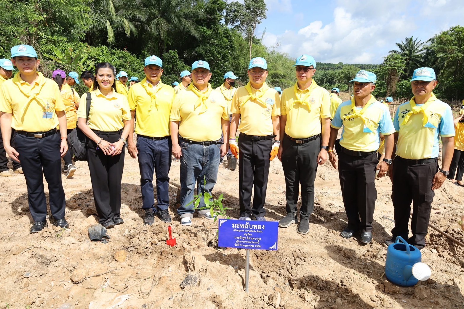 ม.เกษตรศาสตร์ ร่วมกับกระบี่ จัดกิจกรรมจิตอาสาปลูกป่าเฉลิมพระเกียรติ