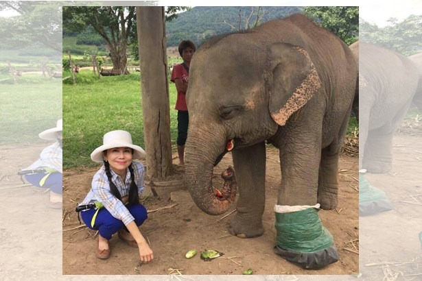 เสียใจเป็นมั้ย! “หนูนา”ฟาดแรง ปมย้าย “หูพับ” ทั้งที่ “หมอ-จนท.”ค้านสุดเสียง แต่จำใจต้องย้ายตามคำสั่งเบื้องบน