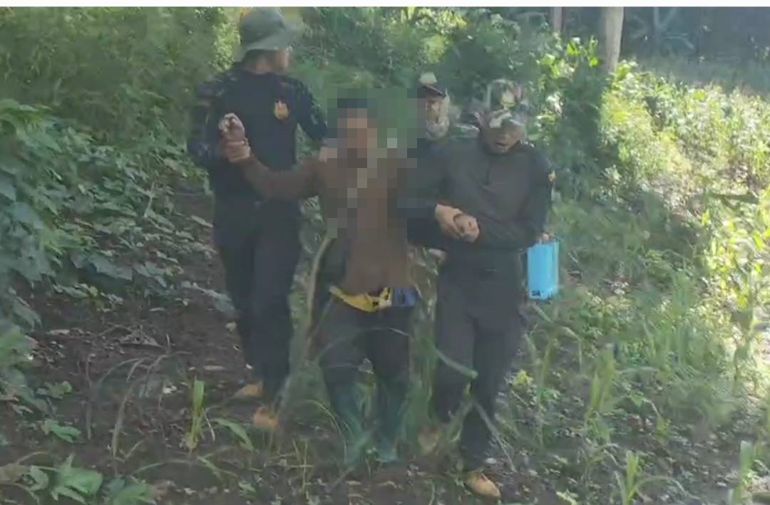 สายตรวจฯจับกุมชาวเมียนมาบุกรุกป่าห้วยน้ำขานกว่า 2 ไร่ในตำบลสบป่อง แม่ฮ่องสอน