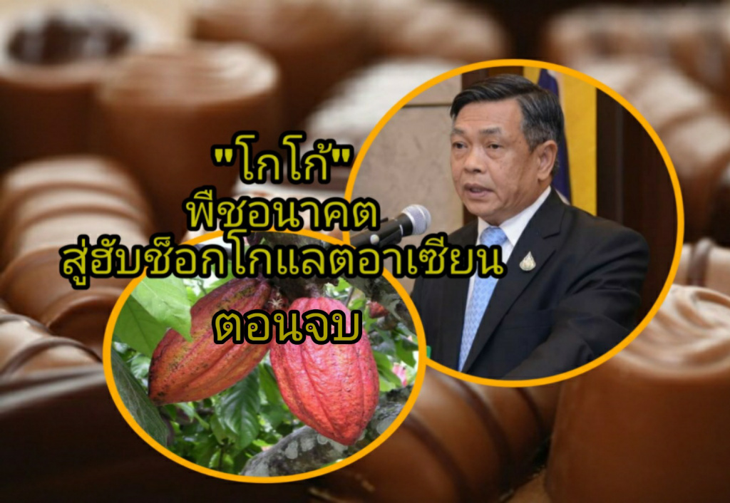 จากโกโก้พืชอนาคตสู่ฮับช็อกโกแลตอาเซียน ตอบโจทย์อุตสาหกรรมอาหารบนฐานเกษตรยุคโควิด ตอนจบ