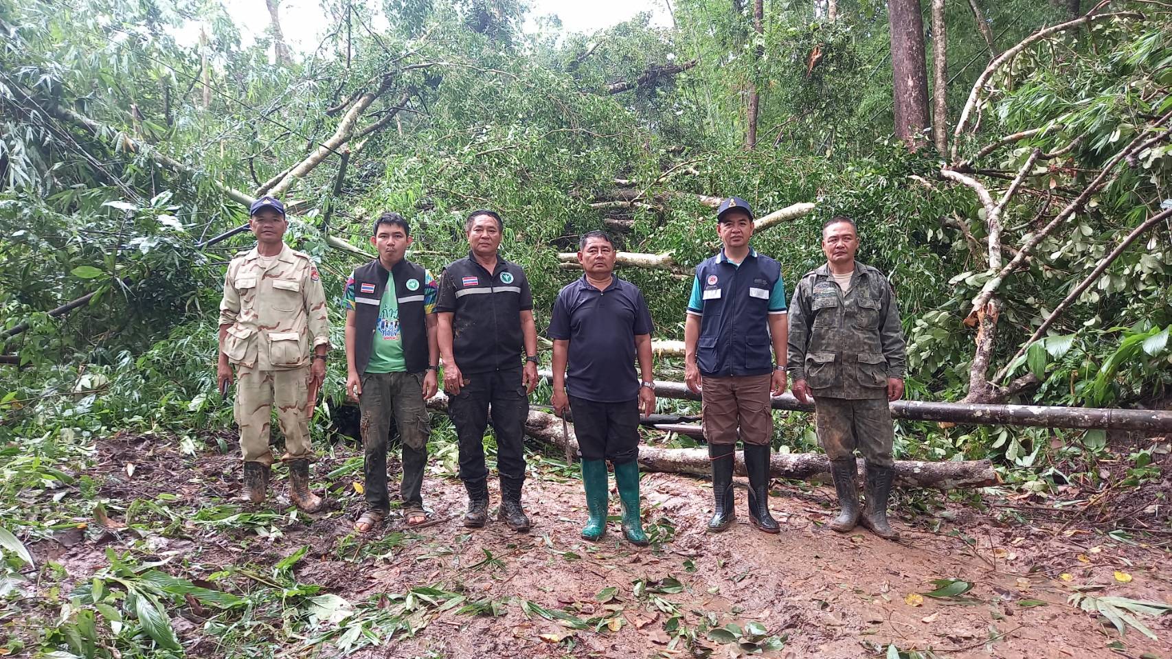 นายอำเภออุ้มผาง ออกเยี่ยมชาวบ้าน ขากลับเจอพายุฝนกระหน่ำ ต้นไทรอายุกว่า 100 ปี ล้มขวางถนน
