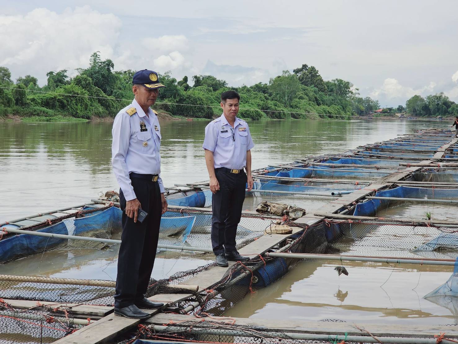 ผู้ว่าฯยโสธร สั่งประมงจังหวัดลงพื้นที่ เยี่ยมเกษตรกรเลี้ยงปลาในกระชัง ป้องกันเกิดความเสียหาย