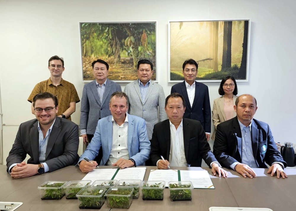 ปฏิวัติวงการยาง!!  กยท. ร่วมเบลเยี่ยม รุกวิจัยเพาะเลี้ยงเนื้อเยื่อ เสริมคุณภาพพันธุ์ยาง เพิ่มรายได้ชาวสวนยาง
