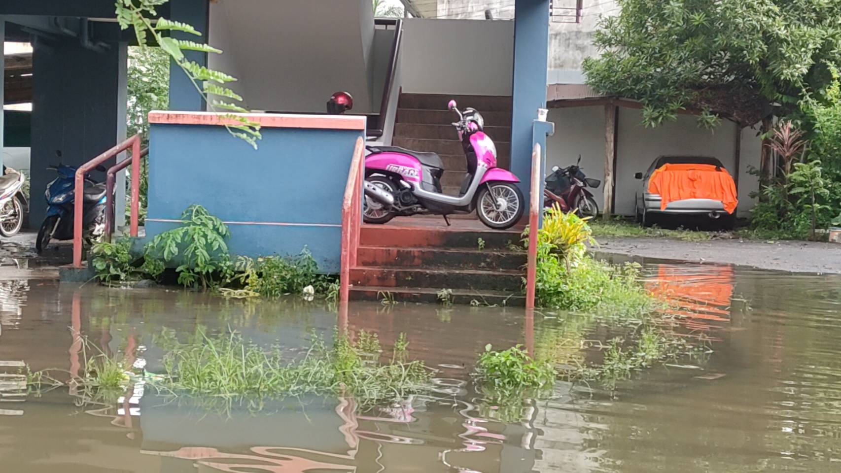สตูลเตือนรับมือน้ำท่วมวันนี้​  หลังกรมอุตุฯเตือนเสี่ยงระดับน้ำเพิ่ม  