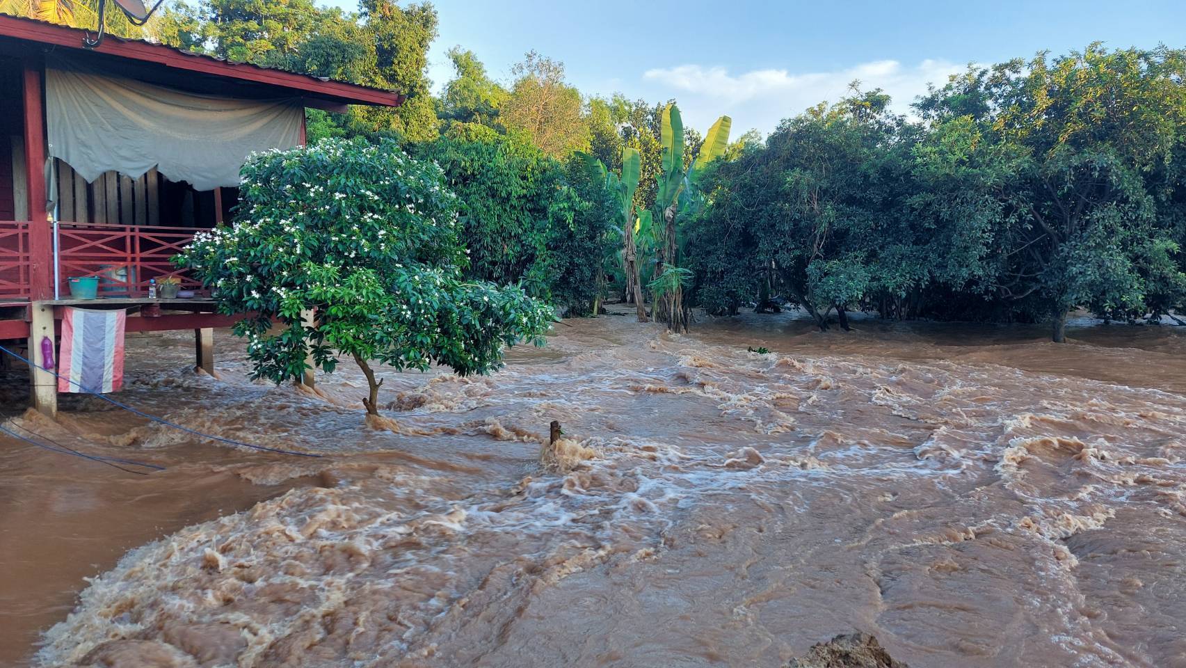 พนังกั้นน้ำยมแตก กระแสน้ำแรงพัดบ้านเรือนหายไปกับสายน้ำ