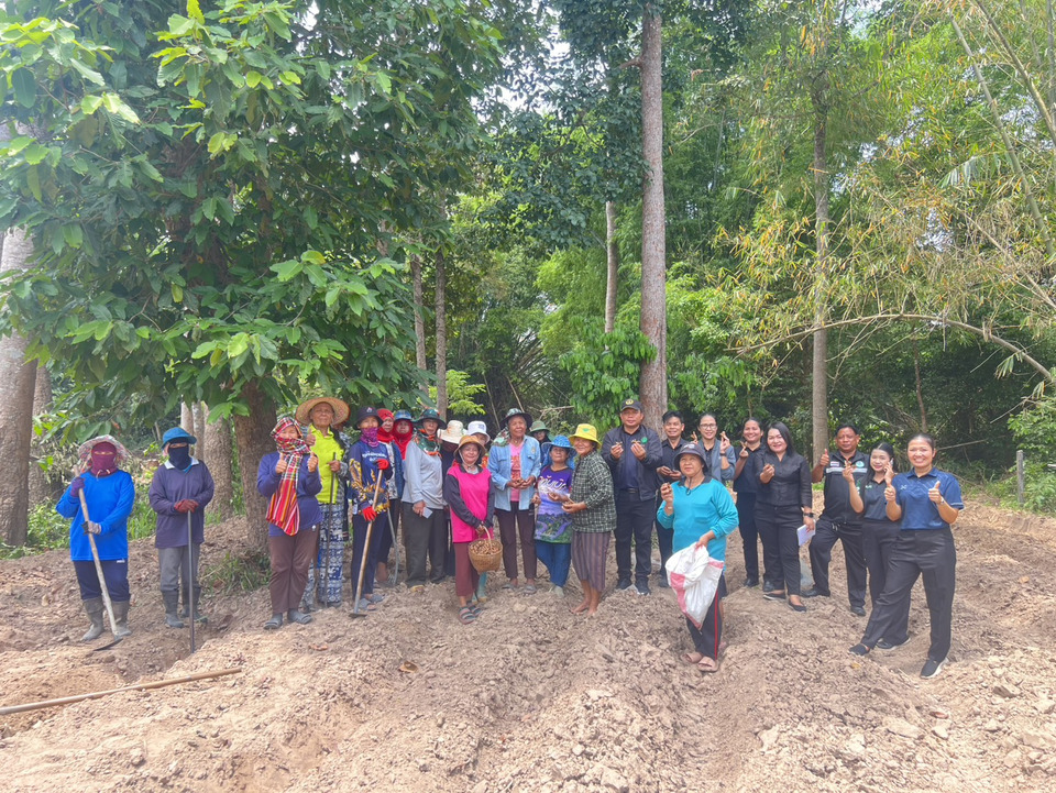 ยโสธร หนุนปลูกขมิ้นชัน สร้างแปลงเรียนรู้สมุนไพร เพิ่มรายได้เกษตรกรอย่างยั่งยืน 