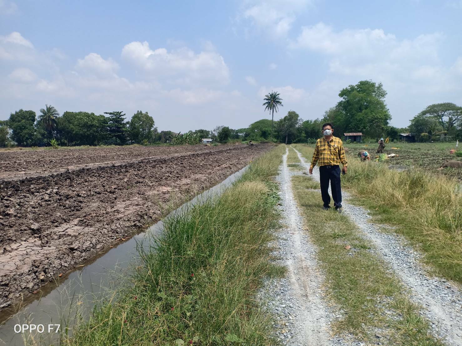 กระทรวงเกษตรฯ เปิดโอกาสให้เกษตรกรภาคการเกษตรรายงานผลกระทบจากเชื้อไวรัสโควิด-19 เพื่อให้ความช่วยเหลือ
