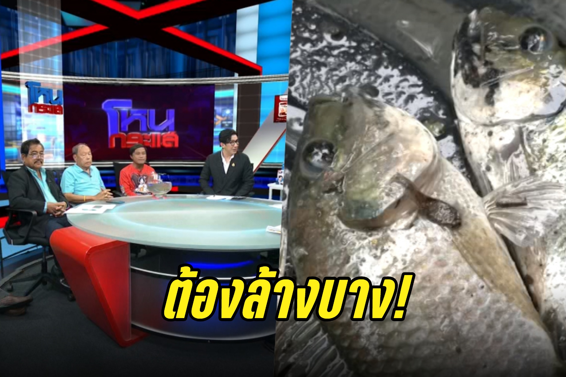 ชำแหละต้นตอ “ปลาหมอคางดำ” จี้ต้องล้างบางก่อนเมืองไทยเกิดหายนะ!