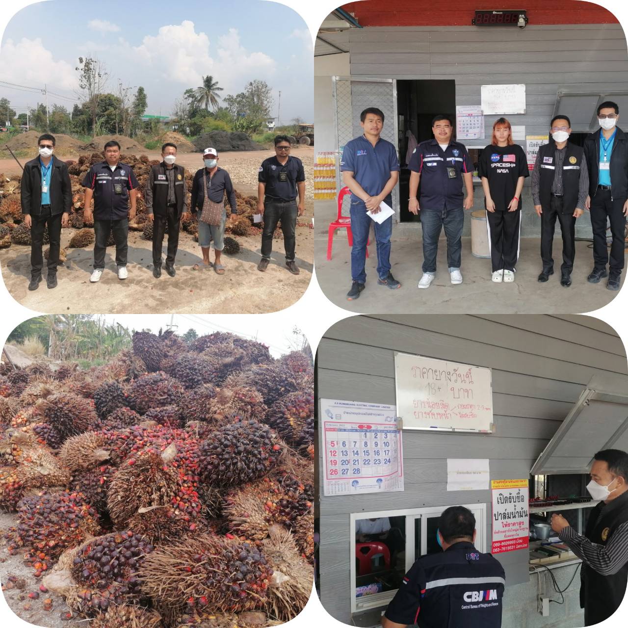 พาณิชย์ร้อยเอ็ด ตรวจสอบจุดรับซื้อผลผลิตปาล์มน้ำมัน
