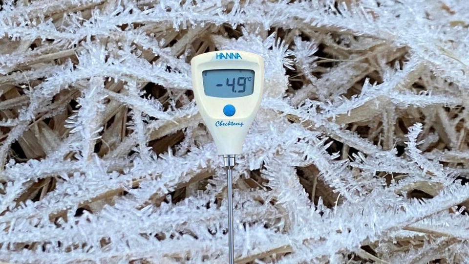 "ดอยอินทนนท์" ติดลบอีก! ยอดหญ้า -4.9°C เหมยขาบโผล่ทุกวัน เข้าสู่โหมดฟินความสุขเต็มร้อย