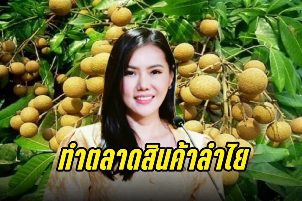 เกษตรฯ เร่งประสานพาณิชย์ ทำตลาดสินค้าลำไย ยกระดับรายได้เกษตรกร