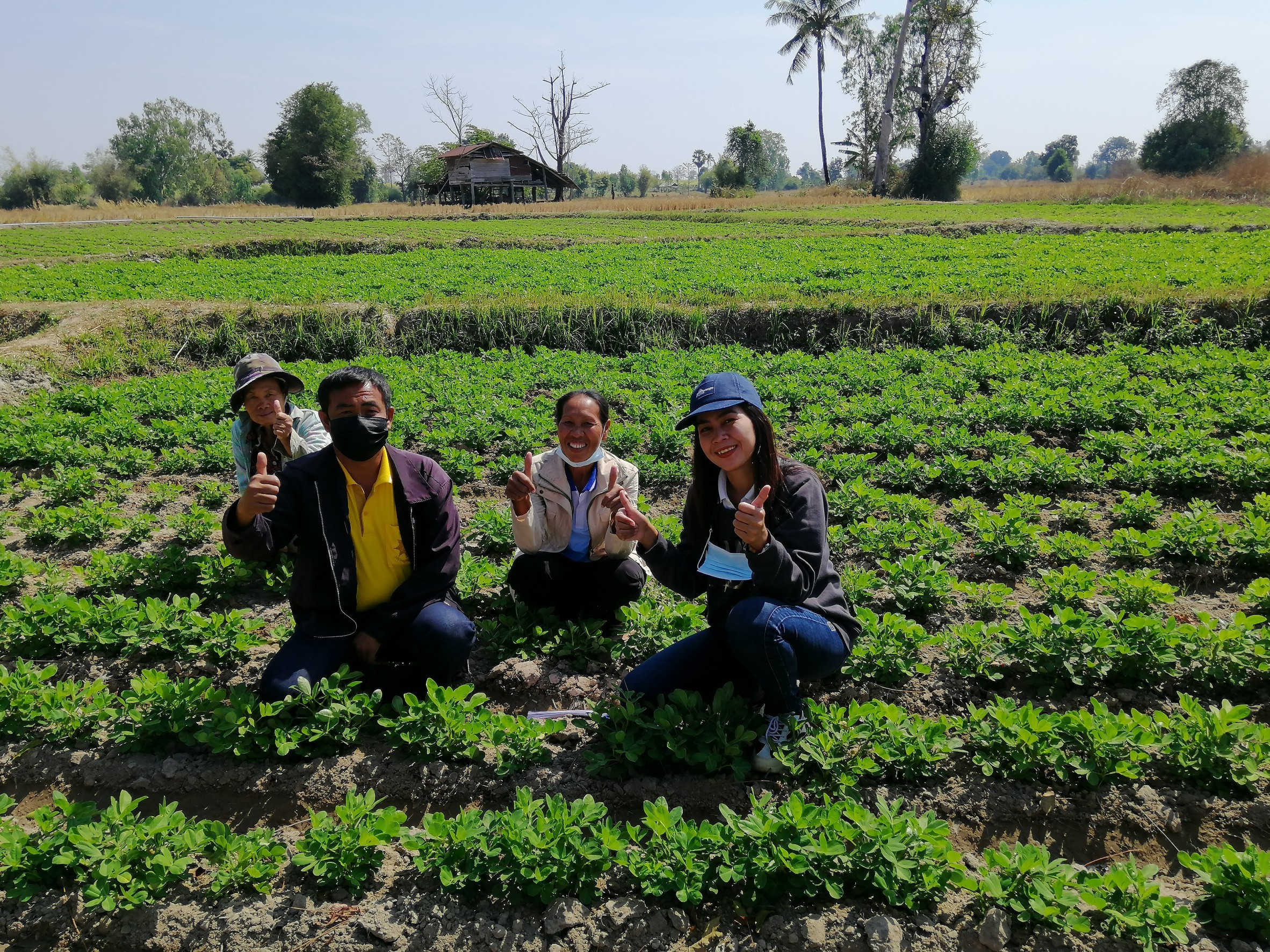 สหกรณ์กาฬสินธุ์  สร้างระบบน้ำในไร่นา  ระยะที่ 2