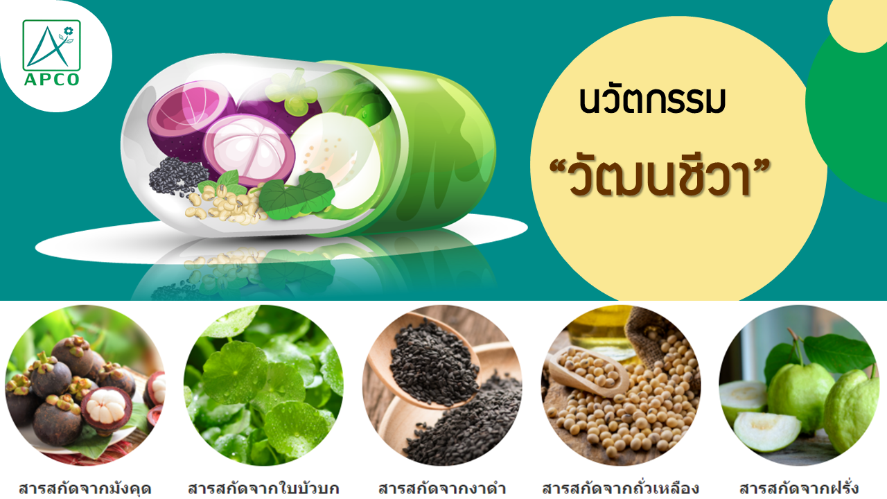 แอปโก้ เปิดมิติใหม่ เดินหน้าสร้างสังคมวัฒนชีวา ให้ความรู้สุขภาพระดับโครโมโซม