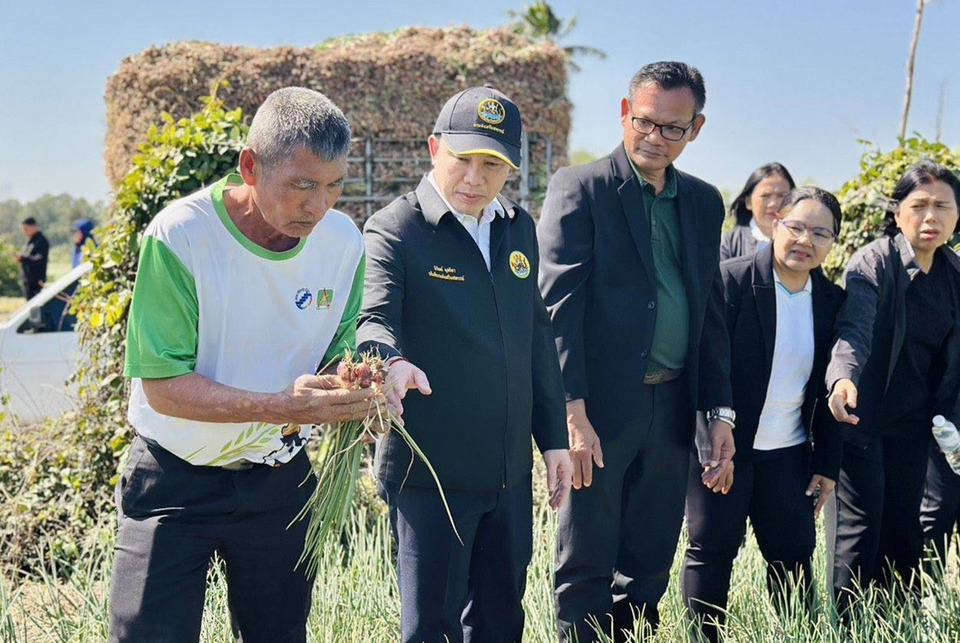 “อธิบดีฯ นิรันดร์” บุกราษีไศล ทุ่มงบ 8 ล้าน อุ้มชาวสวนหอมแดงศรีสะเกษ เร่งระบายของด่วน