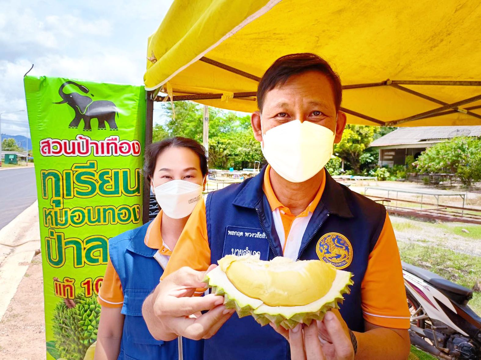 สมการรอคอย “ทุเรียนป่าละอู” ลูกค้าแห่ซื้อทานอย่างต่อเนื่อง