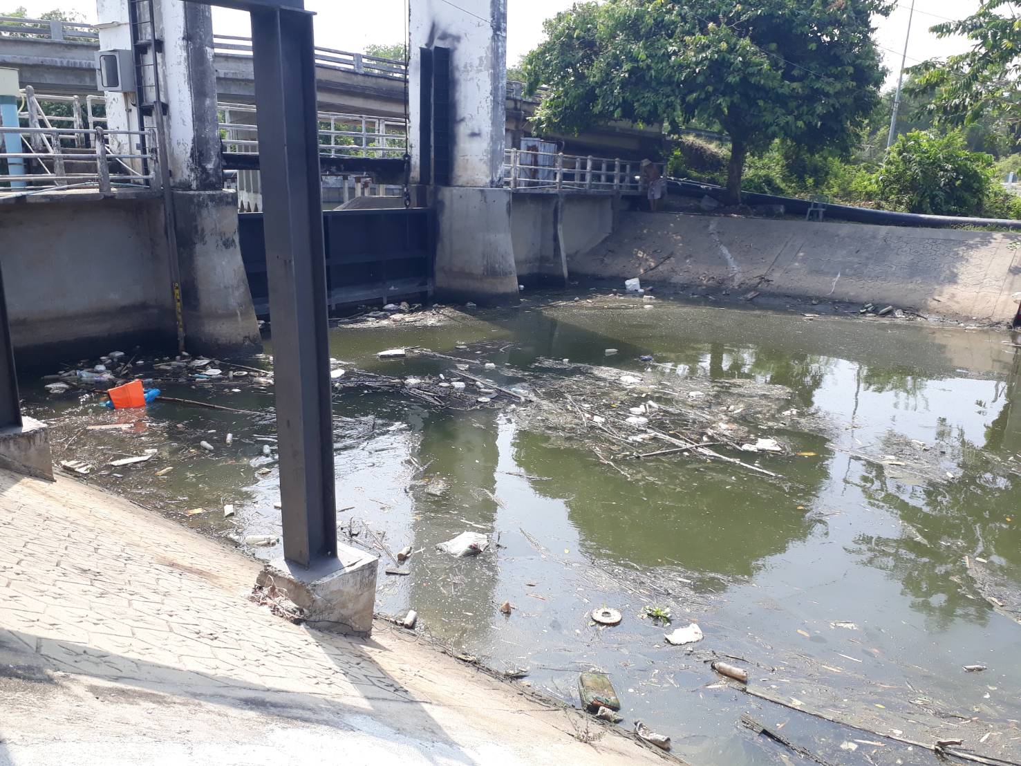โครงการส่งน้ำฯรังสิตเหนือ เร่งกำจัดสิ่งกีดขวางทางน้ำ บริเวณ ปตร.เชียงรากน้อย