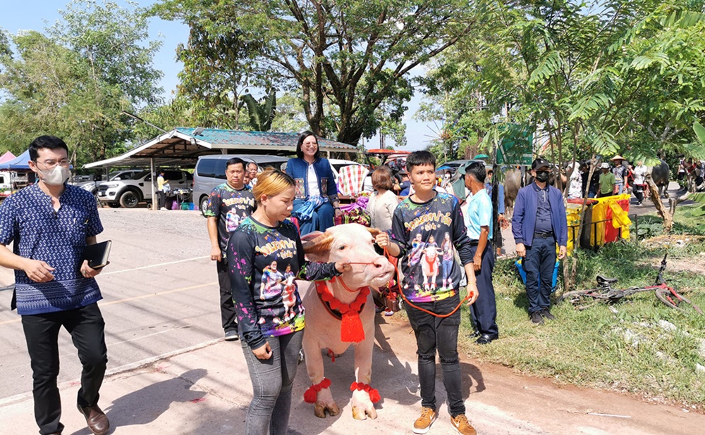 บึงกาฬ เปิดงาน “ปากคาดเกษตรเฟสติวัล” เทศกาลผลไม้พร้อมโชว์ควายงาม