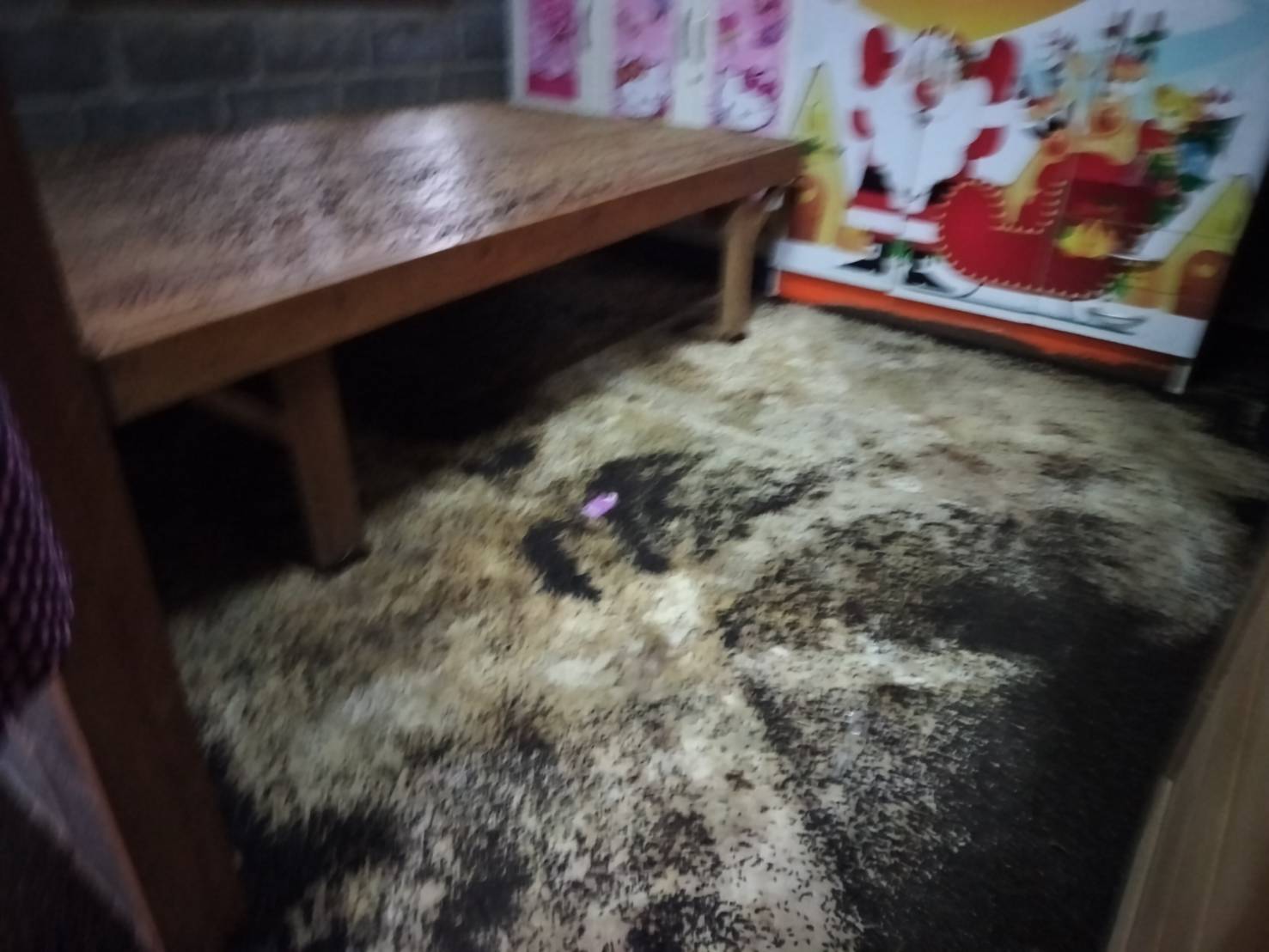 สุรินทร์ ชาวบ้านสุดทนรำคาญ แมลงปีกแข็ง นับล้านตัว บุกยึดบ้านพักอาศัย วอนหน่วยงานภาครัฐ ช่วยเหลือ 