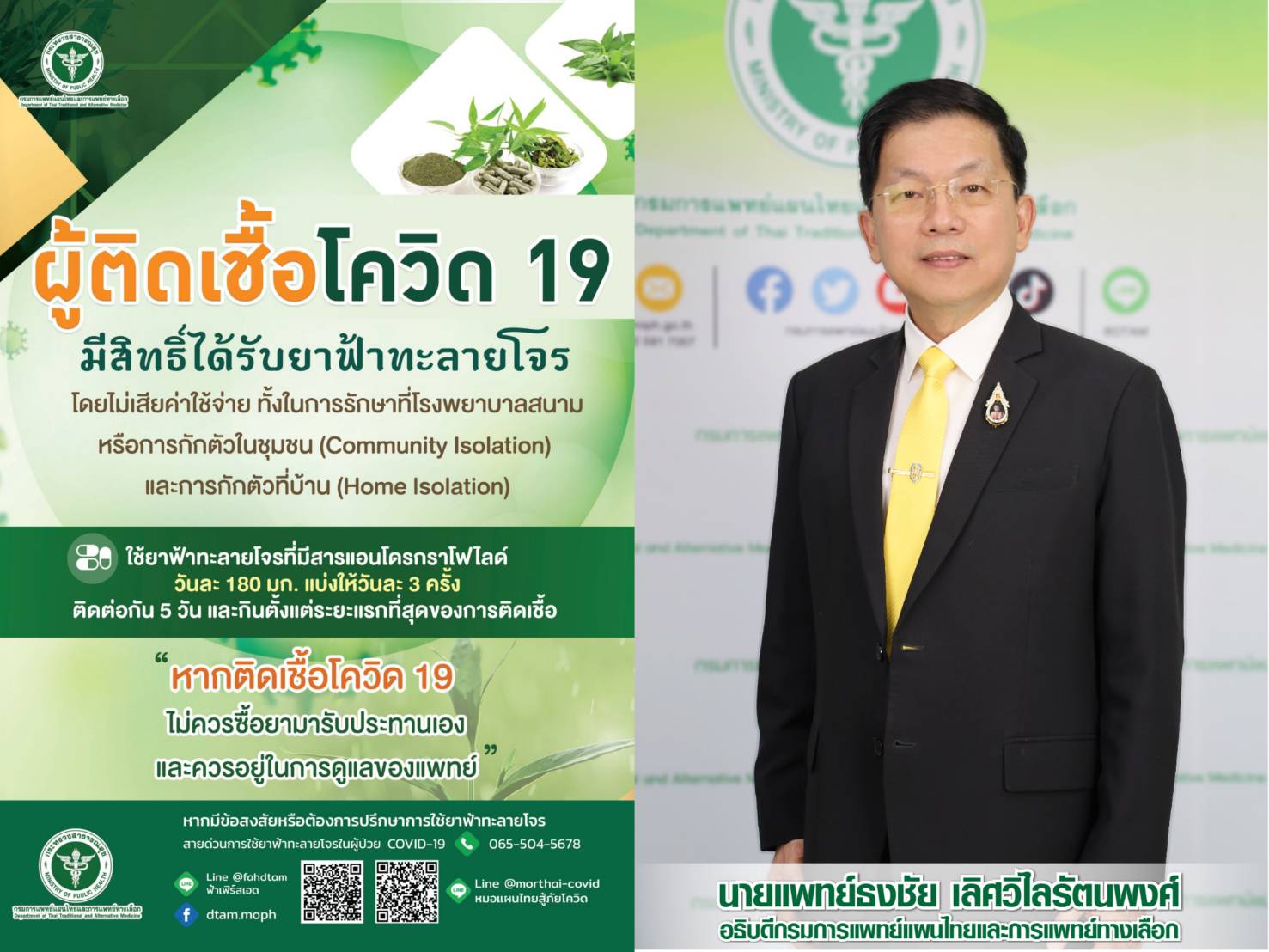 กรมแพทย์แผนไทยฯ ย้ำใช้ยาฟ้าทะลายโจร รับมือโควิด มีประสิทธิภาพ-ลดปอดอักเสบ