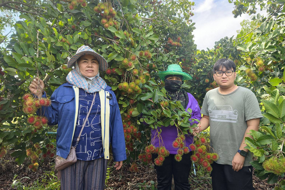 เกษตรกรรัตนวาปีพลิกพื้นที่ 4 ไร่ปลูกเงาะ ลูกดกขายดีพ่อค้าจองล่วงหน้าเกือบหมดสวน 