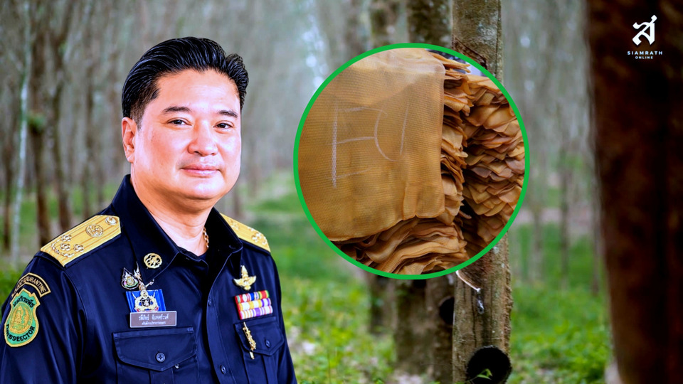 เอาจริง!! ลุยปราบยางพาราปลอมปน ส่ง “ชุดพระพิรุณ” กวาดล้าง
