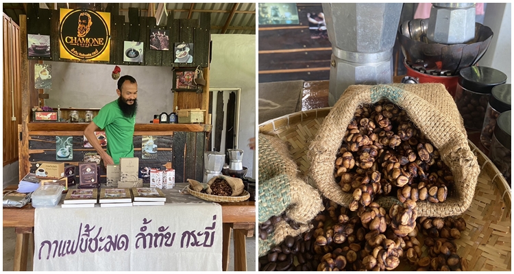 กาแฟขี้ชะมด ซดนุ่มละมุนลิ้น สร้างเศรษฐกิจชีวภาพให้คนในพื้นที่