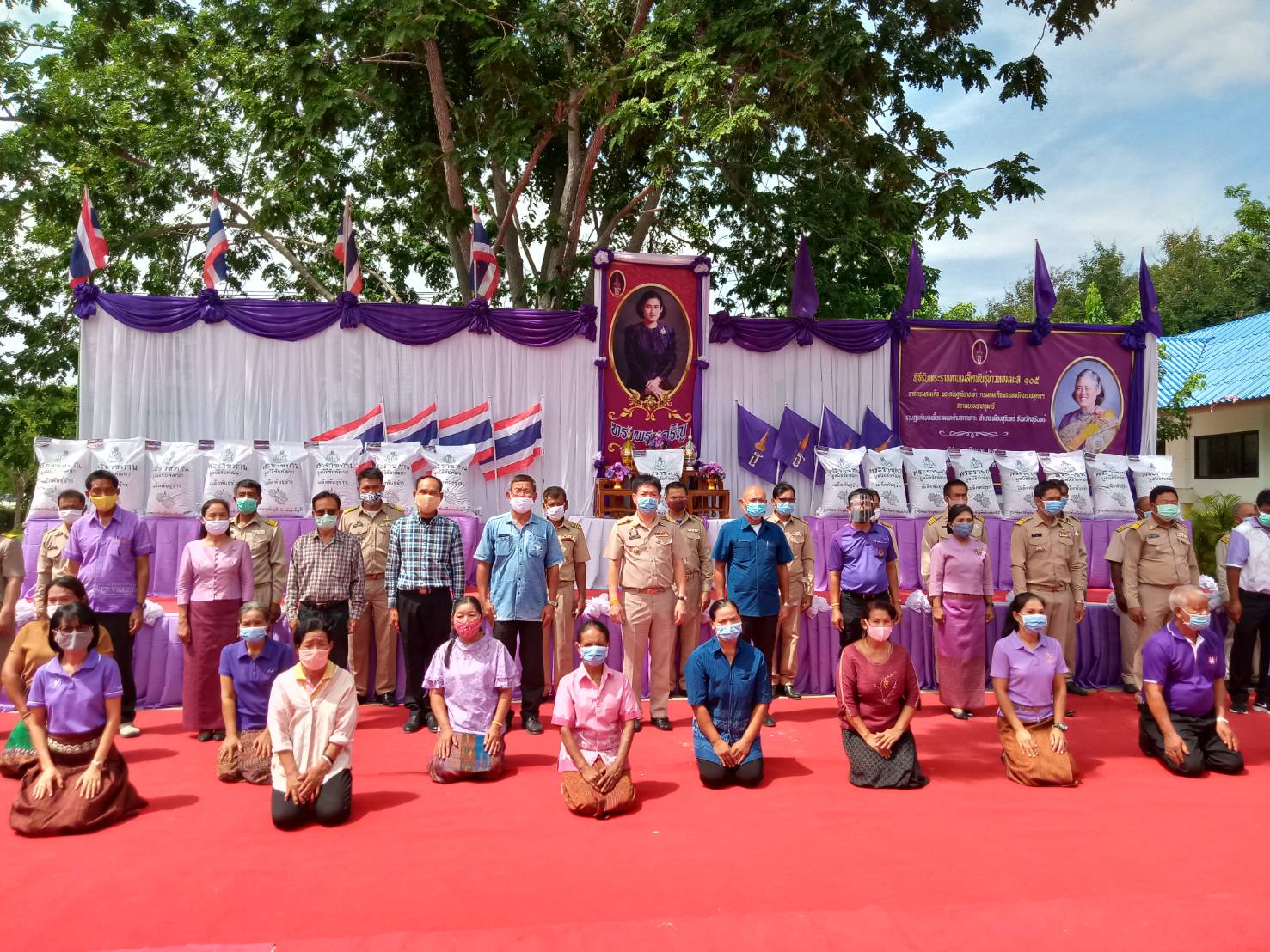นภอ.เมืองสุรินทร์ มอบเมล็ดพันธุ์ข้าวหอมมะลิ 105 พระราชทาน ช่วยเหลือเกษตรกรผู้ประสบปัญหาภัยพิบัติโรคไหม้คอรวงข้าว 
