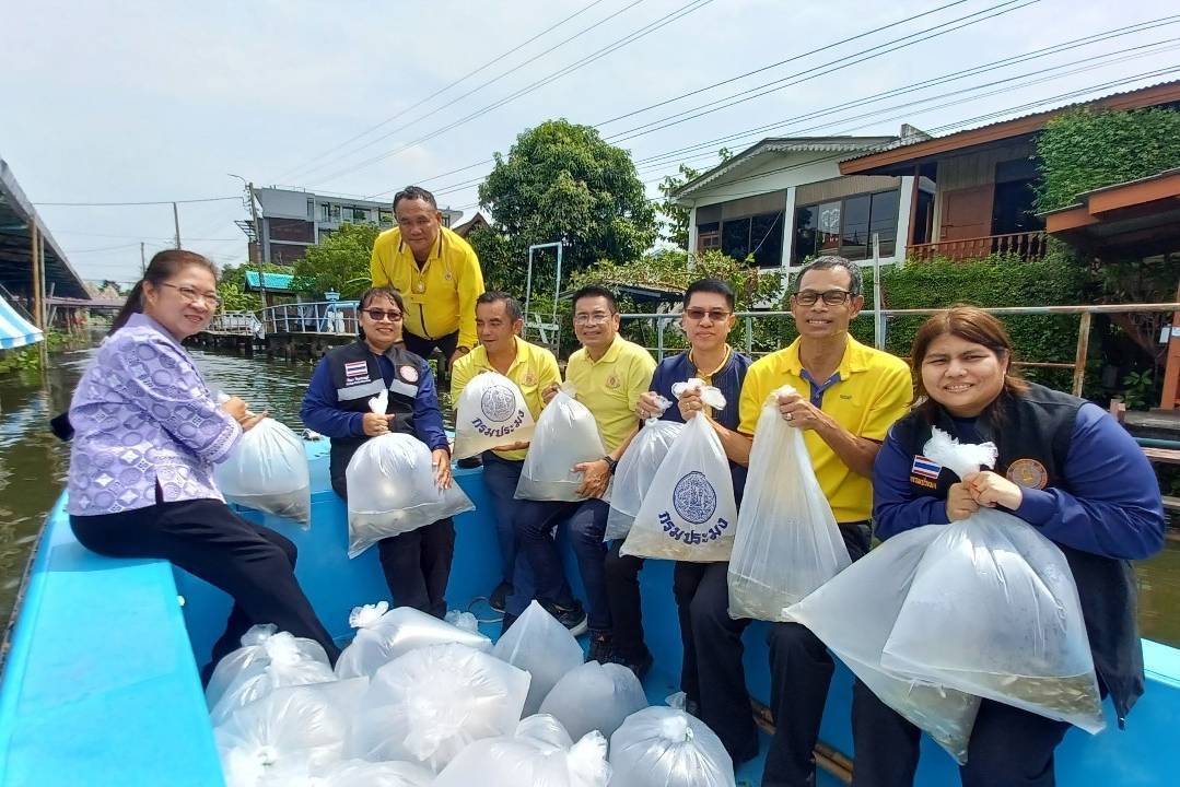 นนทบุรีระดมพลังชุมชน จับ "ปลาหมอคางดำ" บริโภคทุกวัน เดินหน้าปล่อยปลานักล่าให้ครบทุกลำคลอง
