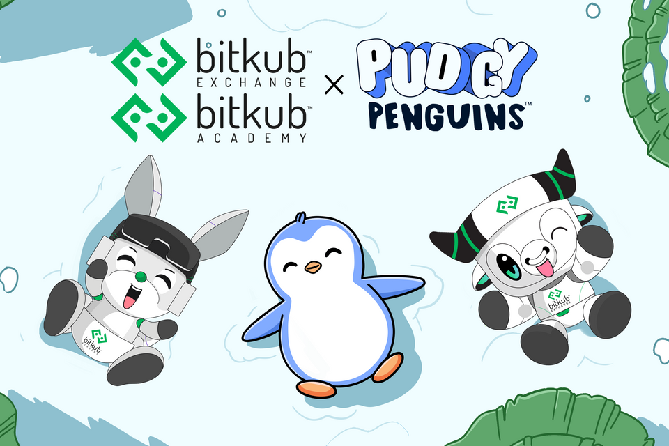 Bitkub จับมือ Pudgy Penguins ขยายชุมชน NFT ในไทย เสริมแกร่ง Web3 และ Digital Collectibles
