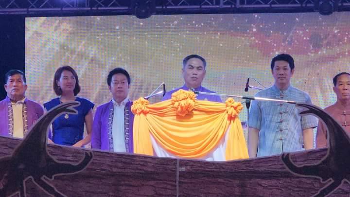 '่น่าน'เปิดงานเทศกาลโลกของกว่างนักสู้แห่งขุนเขาและงานของดีอำเภอปัว