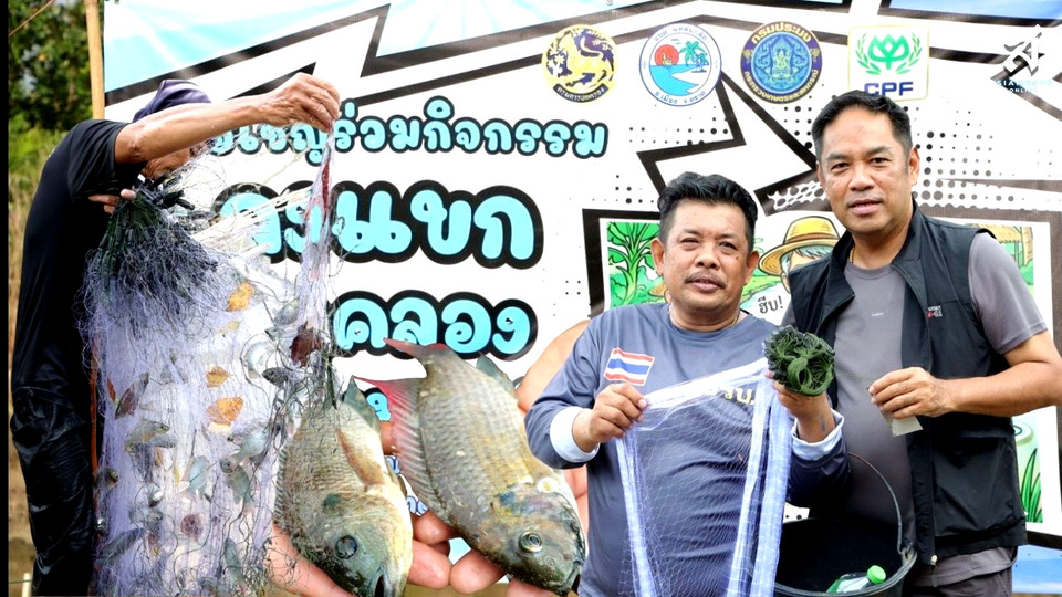 แหลมกลัดเอาจริง! ระดมชาวบ้านล่า "ปลาหมอคางดำ" อัดฉีดงบหนุนคนจับจริง