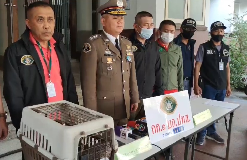 โปลิศปทส.รวบแขกอินเดีย นายหน้าค้าเสือดาว คาปั้มย่านพระราม2 