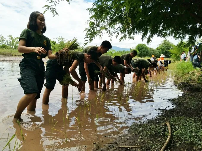 ชัยภูมิ ผุดศูนย์เรียนรู้เศรษฐกิจพอเพียงตำบลบ้านบัว ดึงเยาวชนร่วมเรียนรู้การเกษตร