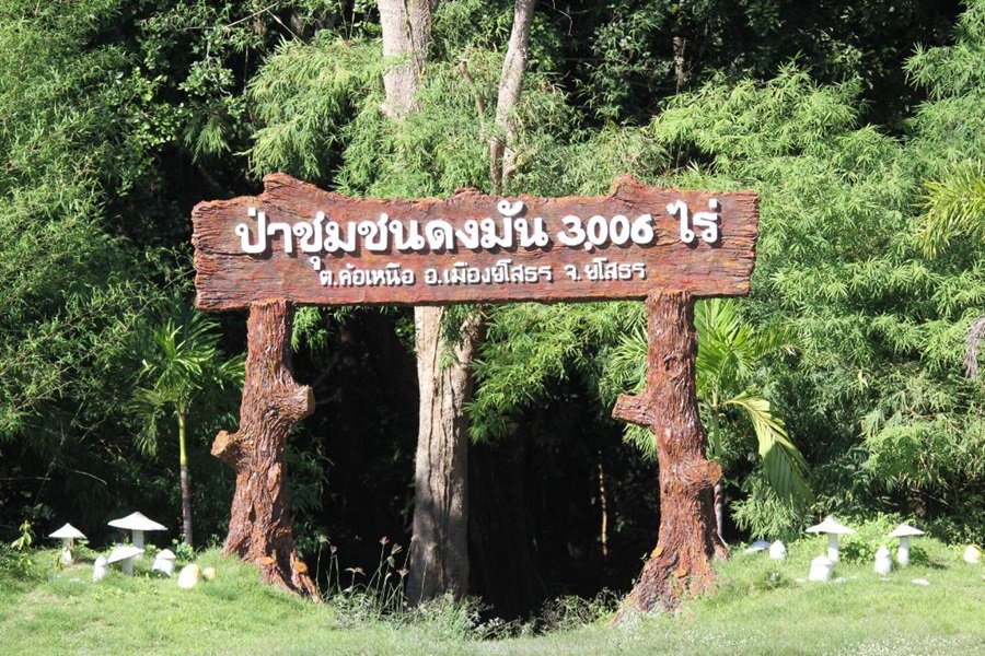 จากโครงการพัฒนาพื้นที่บริเวณหนองอึ่งฯ สู่ยโสธรโมเดล