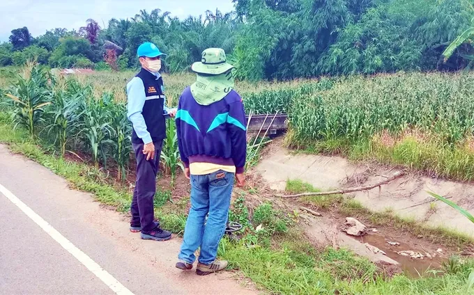โครงการส่งน้ำฯแม่ยม ติดตามสถานการณ์น้ำ และการส่งน้ำเพื่อการเพาะปลูกพืชฤดูฝน ปี 2566 คลองส่งน้ำสายใหญ่ฝั่งขวา  